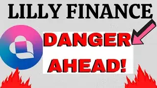 Lilly Finance || Danger Ahead?