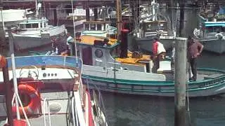 Dixie Monterey Clipper fishing boat Fisherman's Wharf Monterey Boat Tour