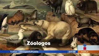 Zoolog&iacute;a || Noticias con Juan Carlos Valerio