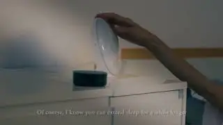 Wake Up Light Alarm Clock with Sunrise/Sunset Simulation Dual A