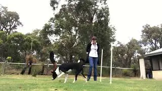 ITWP VIDEO 4