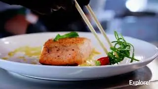 Exploring Japan's Culture & Cuisine, TourRadar 🇯🇵