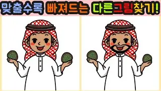 Day48 [다른그림찾기/틀린그림찾기/Find the Difference/치매예방/두뇌훈련] 문제를 맞출수록 점점 더 빠져든다~! 두쫀쿠처럼 중독성있는 다른그림찾기를 즐겨보세요^^