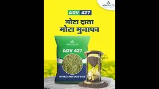 एडवांटा ADV 427 &ndash; मोटा दाना, मोटा मुनाफा!