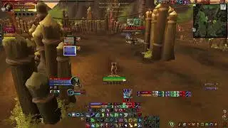 Druid Heal Arena x2, Dragonflight