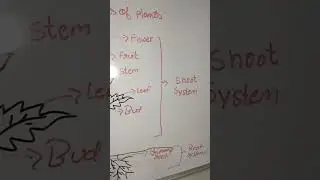 parts of plants diagram#class6ncert #nikitalearningclasses