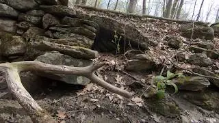 Mound/Stone Wall Buildouts Along Brook - Stone Wall Site CT