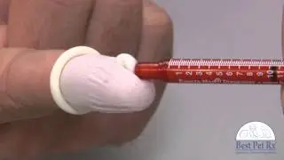 Best pet Rx   Video 2   Transdermal Medication