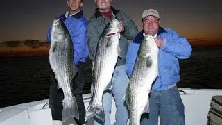 Striped Bass Fishing - Fire Island