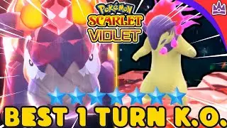 BEST 1 Turn KO Hisuian Typhlosion for Pokemon Scarlet Violet