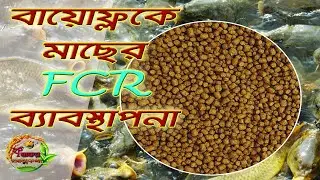 Biofloc Fish FCR Management