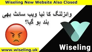 Wiseling Comeback | Wiseling Company New Website Also Closed Reason Behind That ? | Wiseling Update