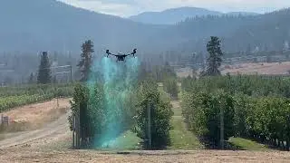 XAG V40 Drone Spraying Cherry Orchard