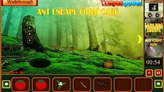 Ant Escape From Cage walkthrough GamesNovel.