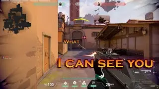 How new blind immunity bug works valorant full