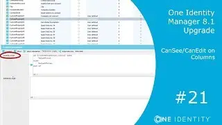 One Identity Manager | Upgrade 8.1 #21 | CanSee/CanEdit on Columns