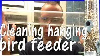 How to clean a bird feeder