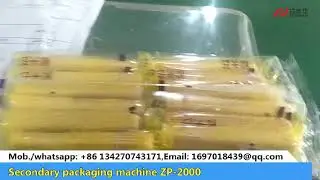 Secondary packaging machine ZP 2000, PACKAGING MACHINE, FLOW WRAPPER EQUIPMENT,horizontal packer