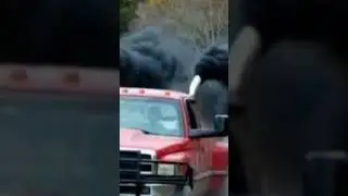 roll coal