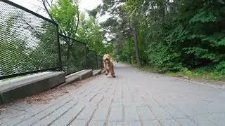 DJI Osmo Action 4 - Slow Motion Sample