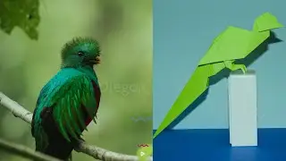 Origami | How to make a Quetzal bird with paper craft