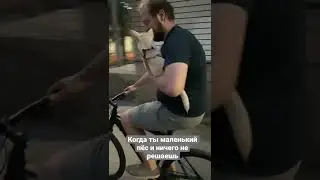 #dogs #friends #pets #video #bike #собака #велосипед #бесплатный проезд #геркулес