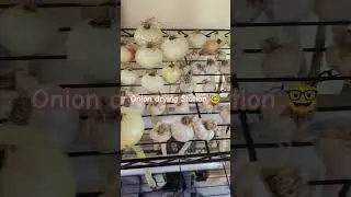 Onion 🧅 drying Station ⛽ 🌱🤓