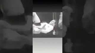 Lou Thesz Powerbombs  Antonio Rocca 1953 New York ​⁠ @bladerope