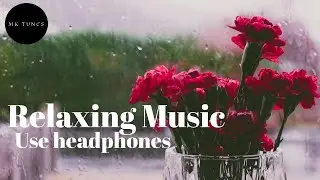 Relaxing Music || Echo Grid || Color || 4K || MK TUNES