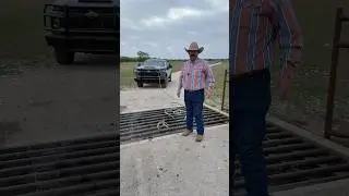 What is a Grill Guard actually for?!