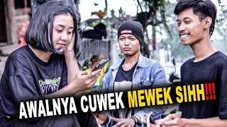 Malaria Malarindu Dek!!Skill Kendnag Cak Temon Bikin Adek Manis Ikut Goyang