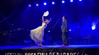 Miguel Ortega y Rocío Bazán al cante y Paula Comitre al baile 