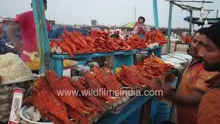 Fresh seafood & live fried fish at Puri Beach | Odisha&rsquo;s vibrant beach fish market