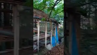 ABANDONED GREENHOUSE😅 #shorts #short #shortsfeed