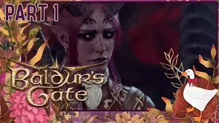 A Nerd Plays: Baldur's Gate 3 (Part 1)