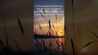 Vesak Day #shorts #Sunday #vesakday #buddha #aspiration #motivational #mindfulness #kindness