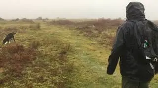 Rillaton walk Christmas 2021