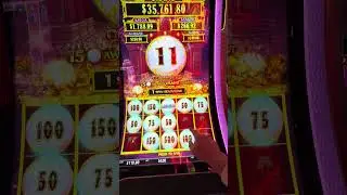 Lion Link. Nice win on $4 bet. We got a minor.