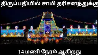 TTD Breaking News| Tirumala Tirupati Darshan Updates| TTD Latest Press Release| Darshan Update Tamil