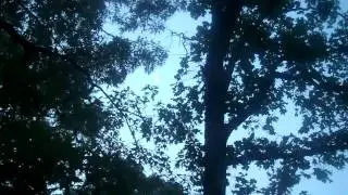 Nature Sounds of Country Morning 31 seconds of Relaxation offered by Secondhand Blu, Hoarderologist