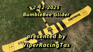 BumbleBee     2-12-2025