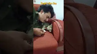 Happy Single Day  😂⭕Media Monkeys #bachelorkitchen #comedy #cat #funny #tamilcomedy #cat #fun #tami