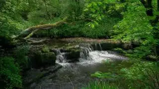 Healing the Family Story Meditation