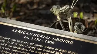 Scientists use DNA to uncover story of Charleston slaves