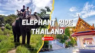 Chang Thai Thappraya Safari Pattaya | Safari Park Pattaya | Elephant Ride Thailand | Pattaya Zoo