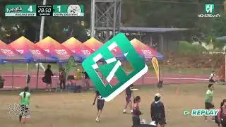 PINES ULTIMATE