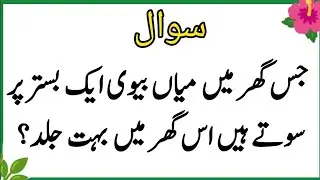 Top Islamic QuestionsAnswers - Islamic Puzzles-Islamic Sawal Jawab-UrduQuiz Islamic Quiz | Gk