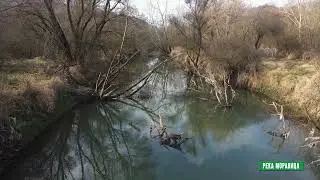 Reke i jezera - Reka Moravica