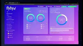 Participating in an Auction flybylaunchpad IDO