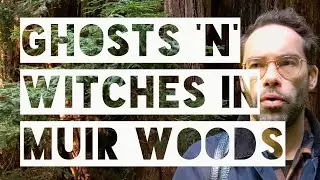 Ghosts and witches in Muir Woods, California